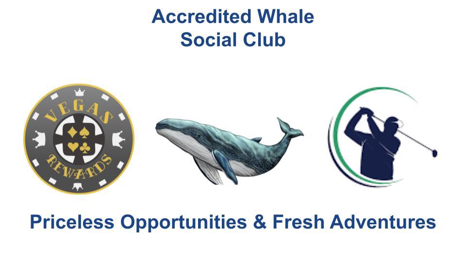 accredited-whale-social-club